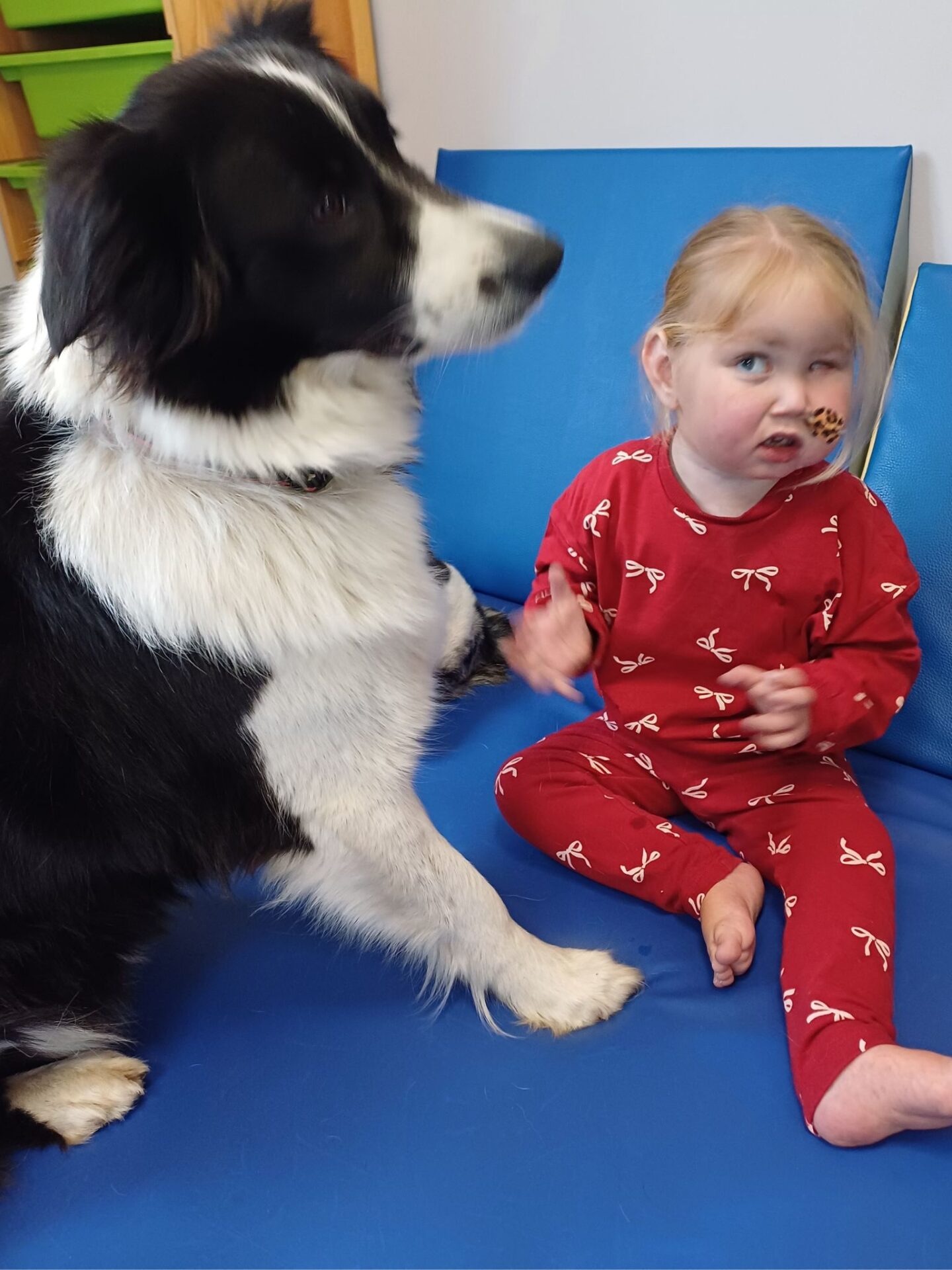 Projekt Bez Nazwy(77)